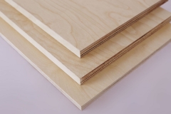 Birch Shelves