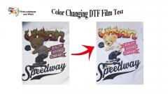 PrintWant® Temperature Changing Change DTF PET Film