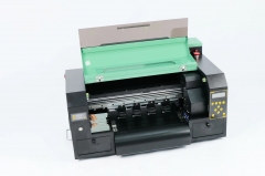 DTF Printer PW330 Dual Print Heads XP600/i1600 For DTF Printing Transfer With Maximum Format 33cm