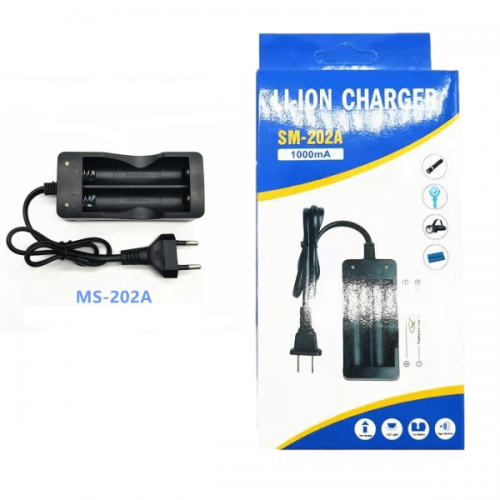 2 Bay charger with package