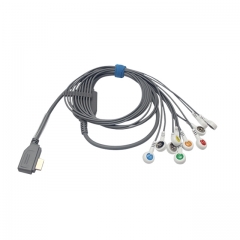 Carewell Holter ECG Cable (G11142S)