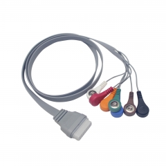 Edan Holter ECG Cable (G71125S)