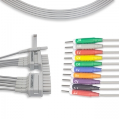 Mortara 10 Lead EKG leadwire - Needle Connector (K113MT)