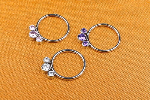 Navel Jewels ASTM F136 Titanium Hinged Segments High Quality Nose Rings Body Piercing Jewelry ASTM F136-W19