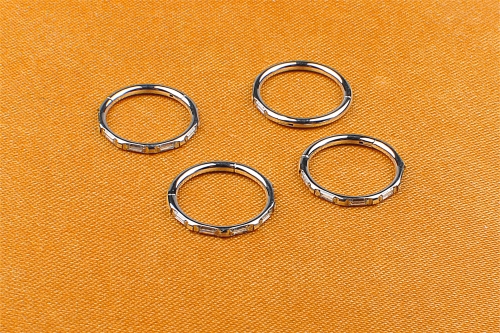 Piercing Jewelry ASTM F136 Titanium Jewelry Hinged Segment Nose Ring Body Piercing Jewelry-W50