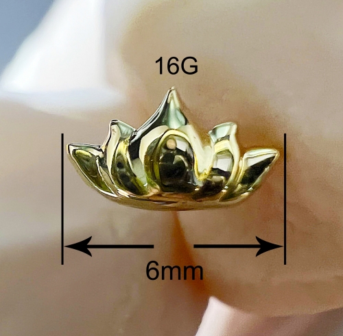 NSPJ Body Piercing Jewekry TOP 14K Real Gold Pin and Thread are ASTM F136 G08