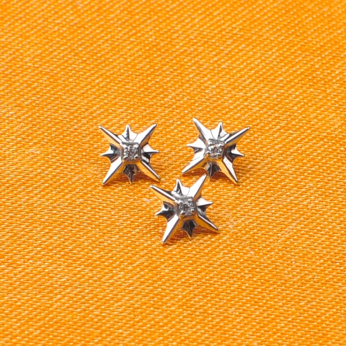 ASTM-F136 Titanium Starfish with bricks Top Internally Threaded Labret Piercing ear piercing and helix piercing--P190