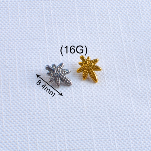 Live Stream Hot Sell ASTM-F136 titanium leaf Studs Earrings for Women Girls Wedding Factory piercing supply Wholesale titanium piercing-P116