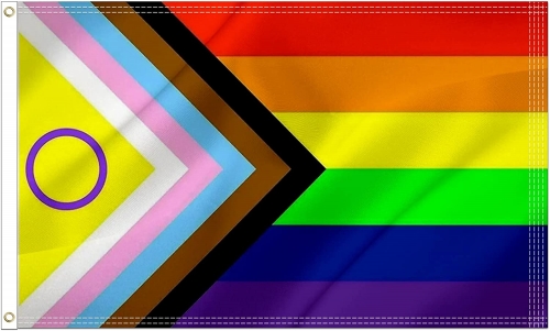 New Intersex Progress Pride Flag 4x6 ft- LGBTQ Rainbow Inclusive Intersexual Bisexual Flags