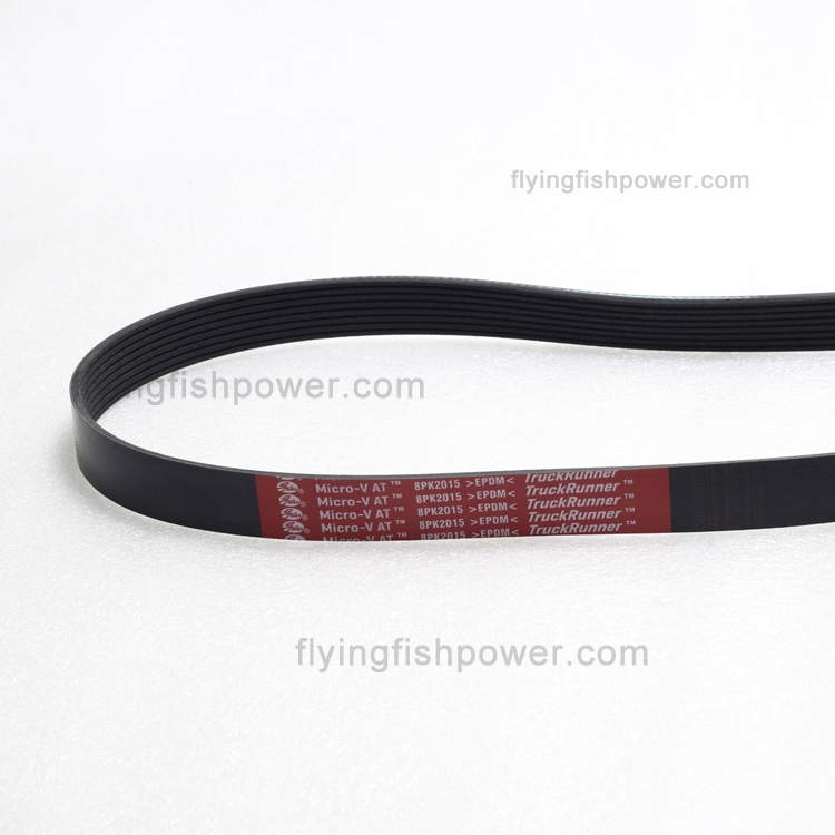 Belt 8PK1565 VL - 27011