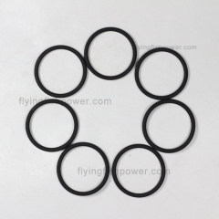 Renault DCI11 Engine Parts O Ring Seal 5003065191