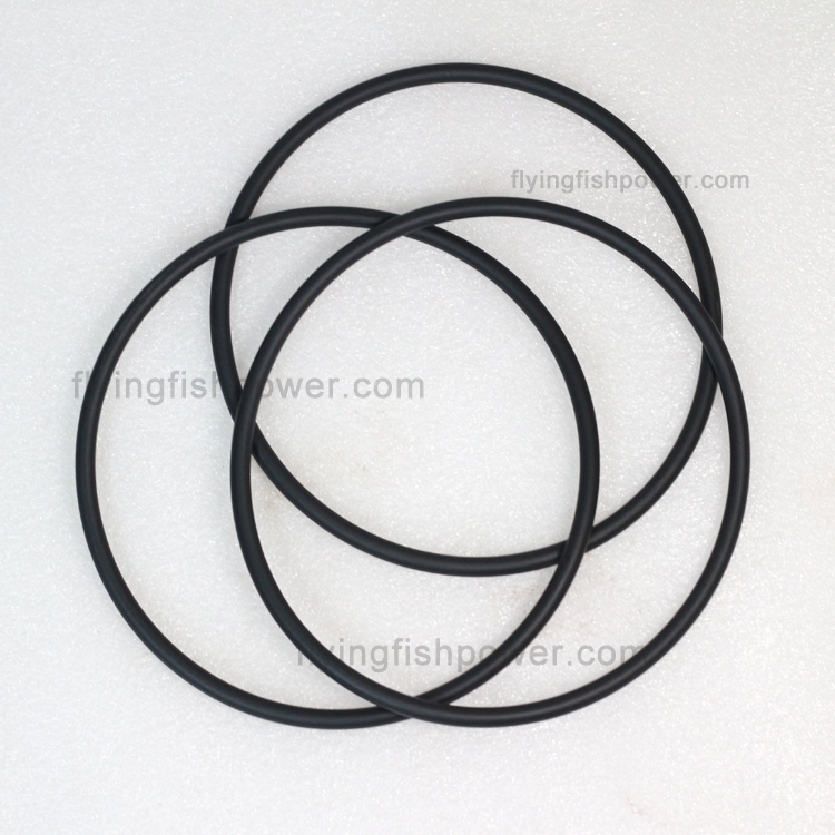 Renault DCI11 Engine Parts O Ring Seal 5010224785 D5010224785