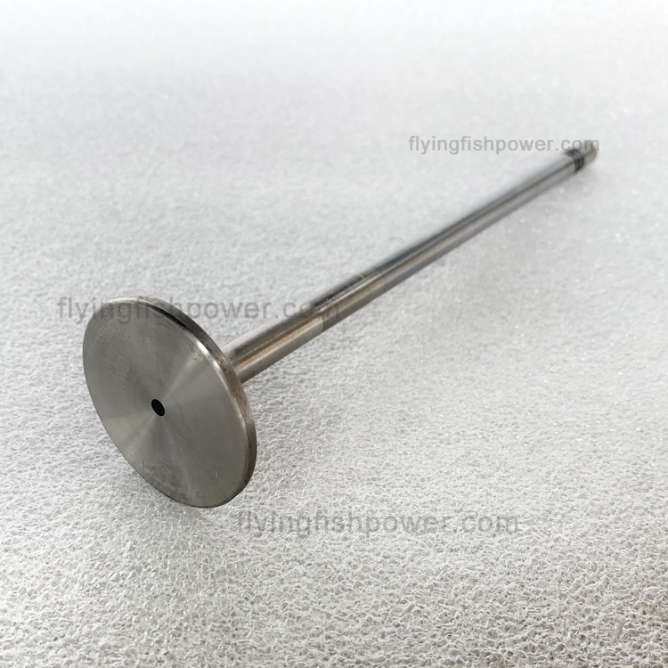 Volvo Diesel Engine Parts Intake Valve 20740798