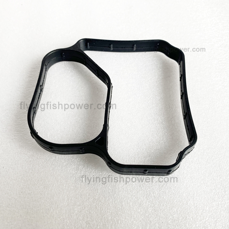 Volvo Diesel Engine Parts Water Pump Gasket 20479636