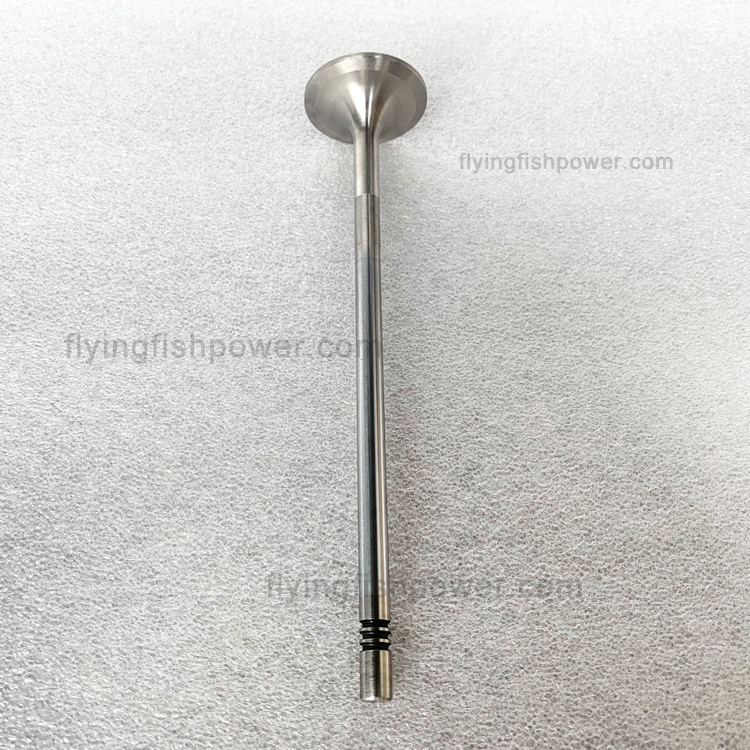 Volvo Diesel Engine Parts Intake Valve 20740798