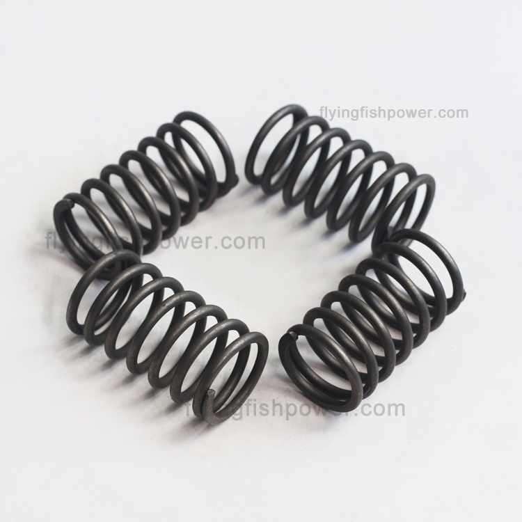 Wholesale Cummins B3.3 Engine Parts Valve Spring 4982896 6204414410