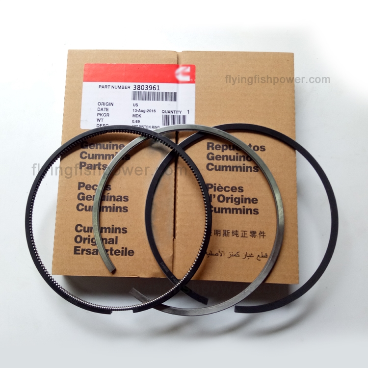 Cummins L10 Engine Parts Piston Ring 3803961