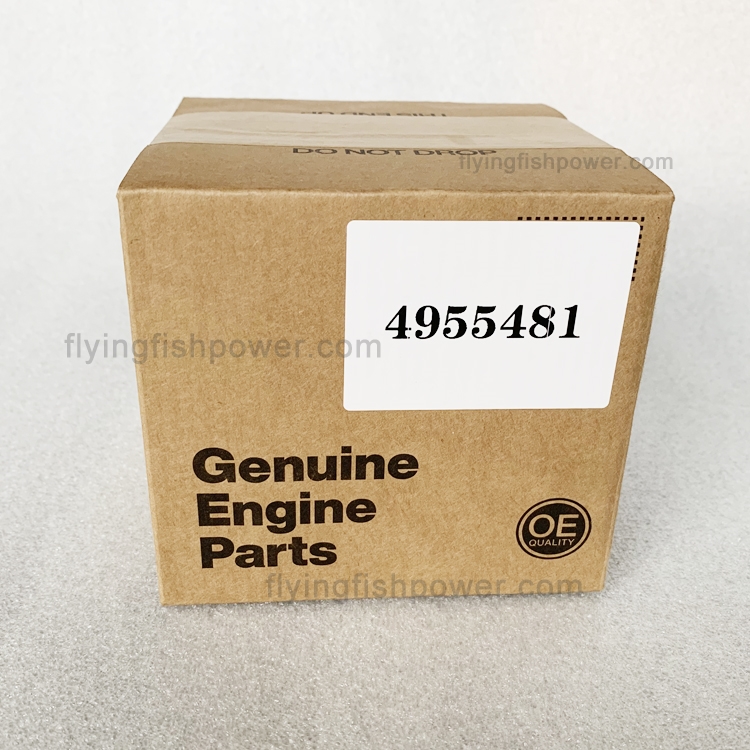 Cummins QSB QSB6.7 Engine Parts Piston Kit 4955481