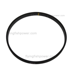 Wholesale Cummins Engine Parts Oil Seal 3081489 207525 205115