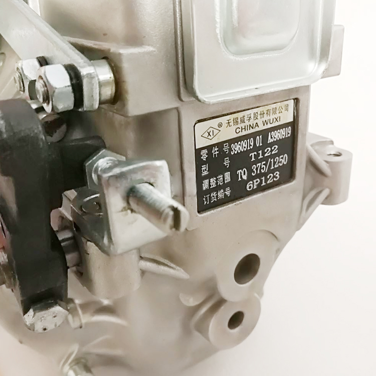 Wholesale Cummins Engine Parts Fuel Injection Pump 3960919