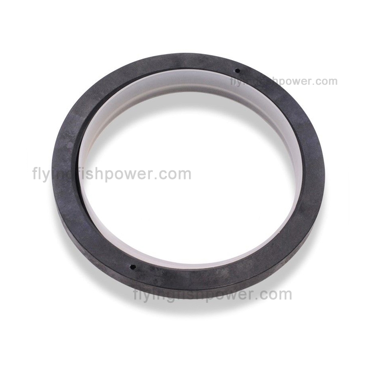 Cummins Crankshaft Seal Kit 4955566