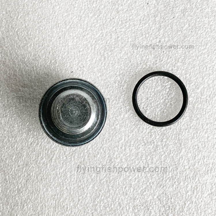 Wholesale Cummins ISG Engine Parts Oil Drain Plug 3698081