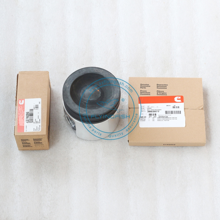 Wholesale 4089865 3103752 Genuine Quality Piston Kit for Cummins M11 ISM11 QSM11 Engine Parts