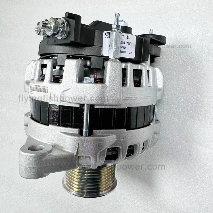 Weichai WP10 Piezas de repuesto del motor 1000179901 Alternador para Shacman