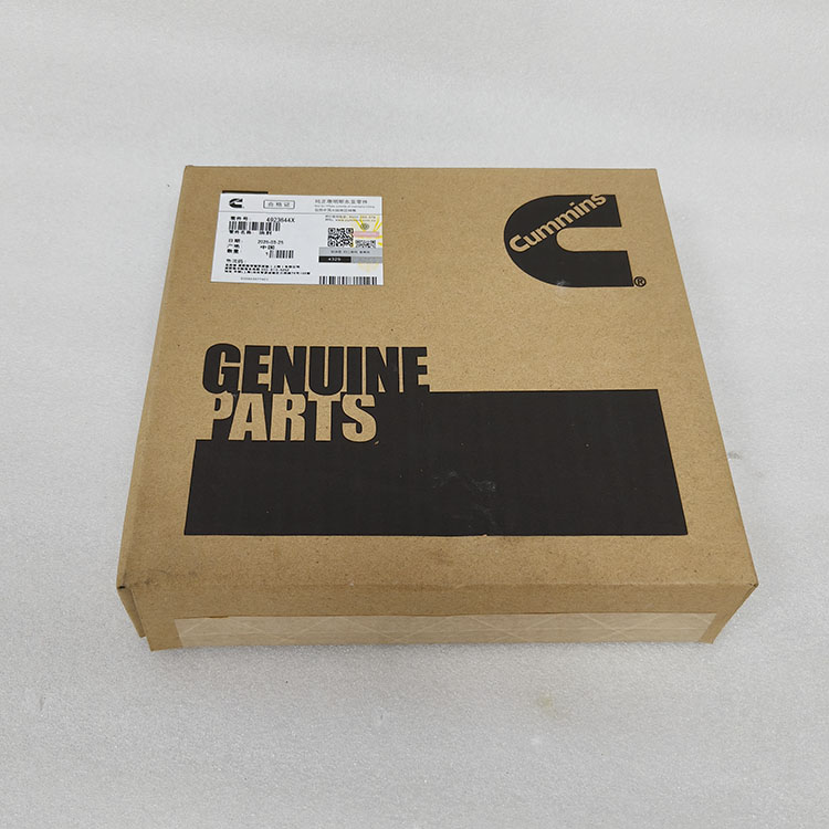 Cummins Crankshaft Rear Oil Seal Kit 4923644 4089542
