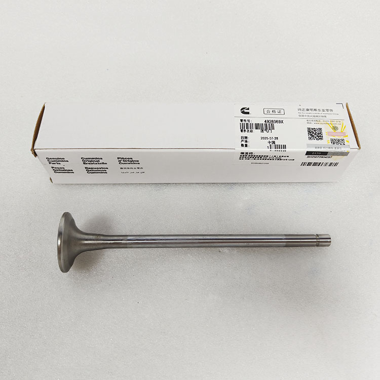 Cummins M11 Intake Valve 4926069 4955239 3417778 3800636