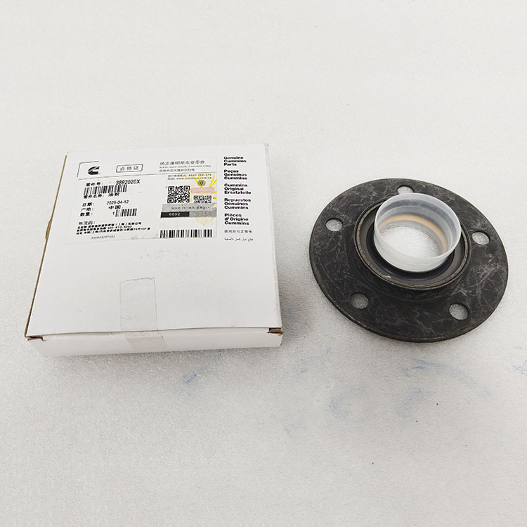 Cummins M11 Camshaft Oil Seal 3892020 3892794