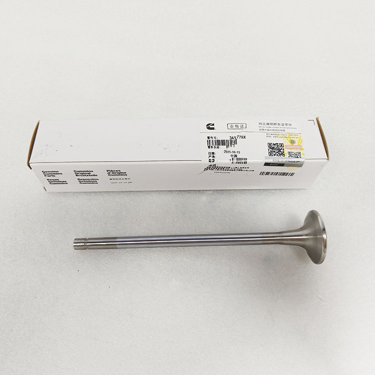 Cummins M11 Exhaust Valve 3417779 3800637