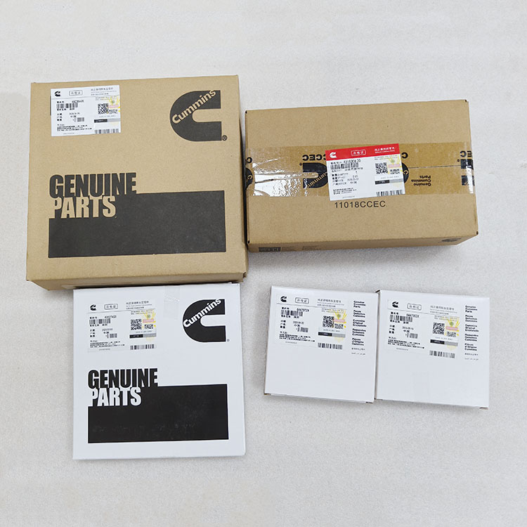 Cummins M11 Lower Gasket Kit 5560690