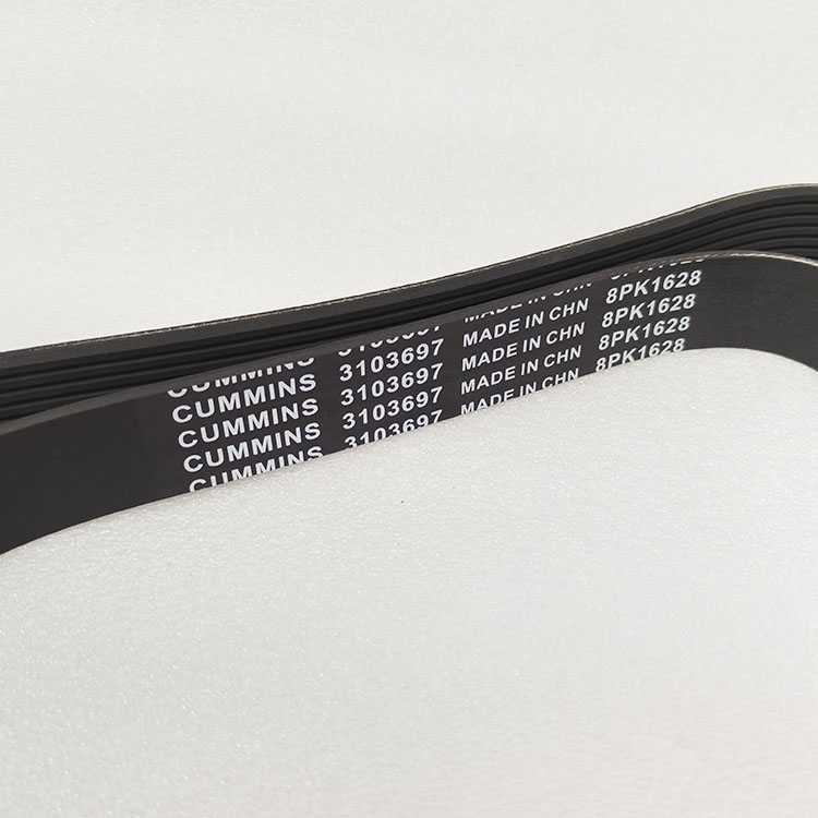 Cummins V Ribbed Belt 3103697 8PK1628