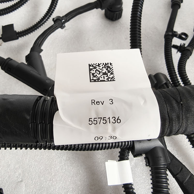 Cummins Control Module Wiring Harness 5575136