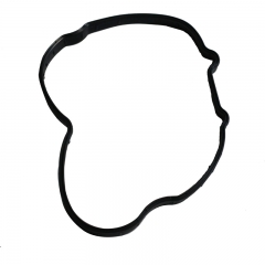 5263530 Foton ISF2.8 Engine Seal Chain Drive Cover