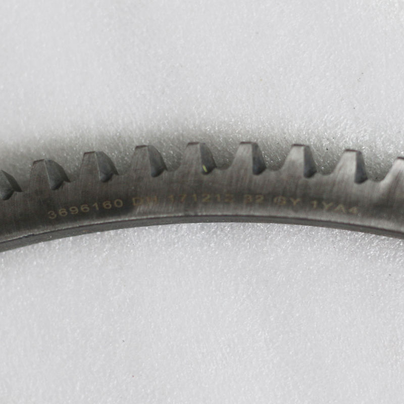 ISG Flywheel Ring Gear S3696160A2080