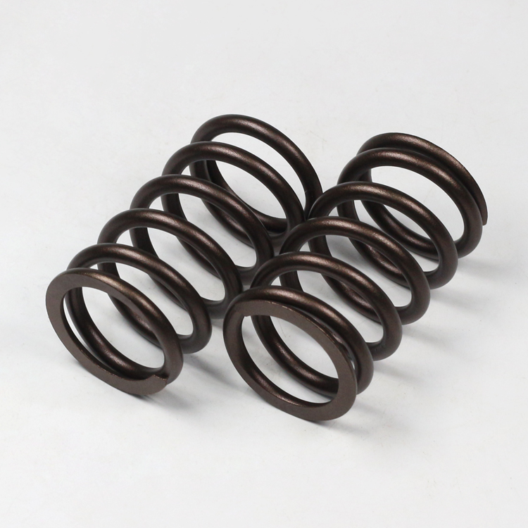 ISG Engine Valve Spring 3695886