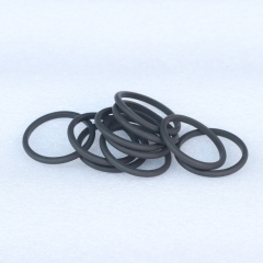 ISG S3698082 D Ring Seal