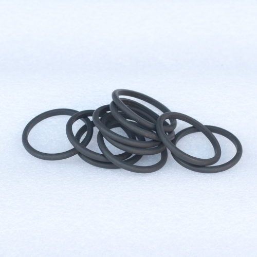 ISG S3698082 D Ring Seal