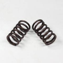 ISG Engine Valve Spring 3695886