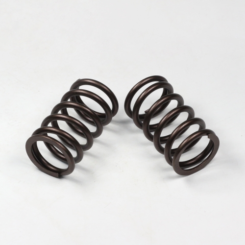 ISG Engine Valve Spring 3695886