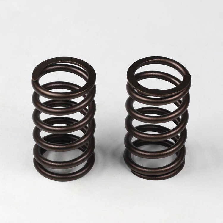 ISG Engine Valve Spring 3695886