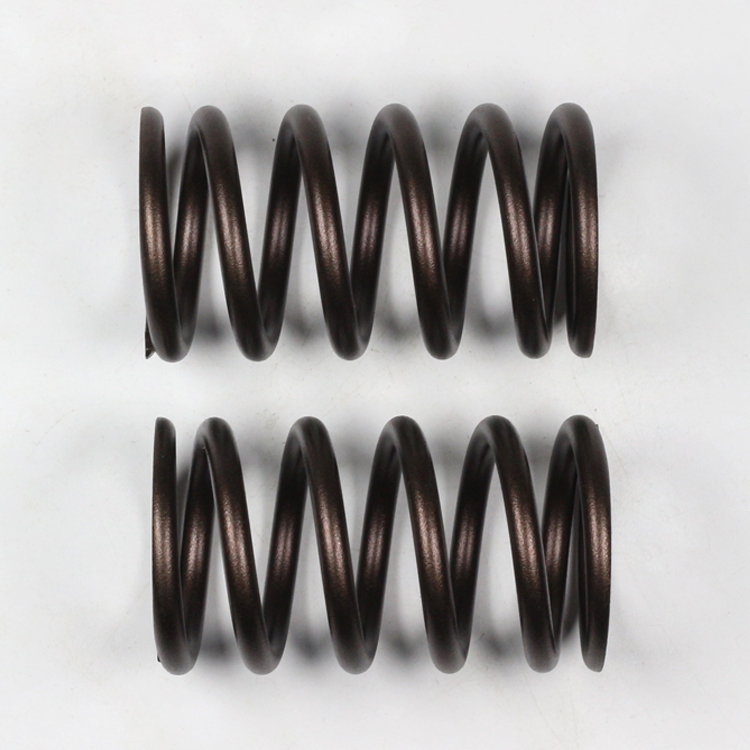 ISG Engine Valve Spring 3695886