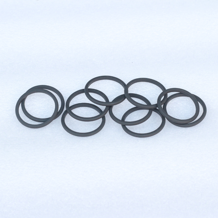 ISG S3698082 D Ring Seal