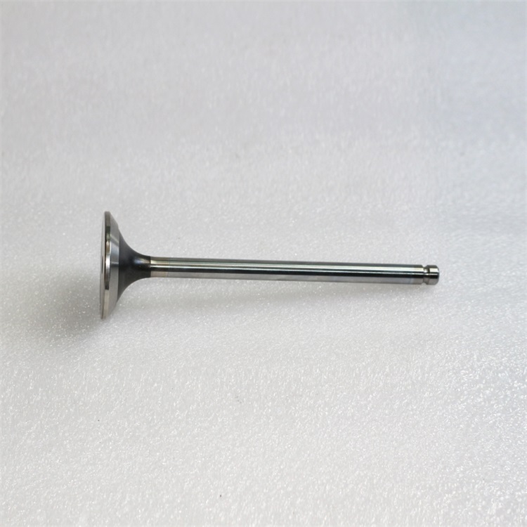 ISG Engine Intake Valve 3697413