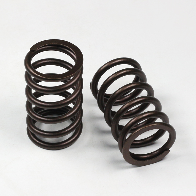 ISG Engine Valve Spring 3695886