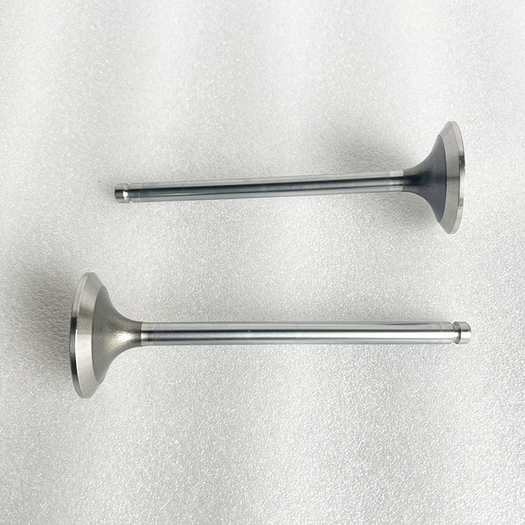 ISG Engine Exhaust Valve 5582315