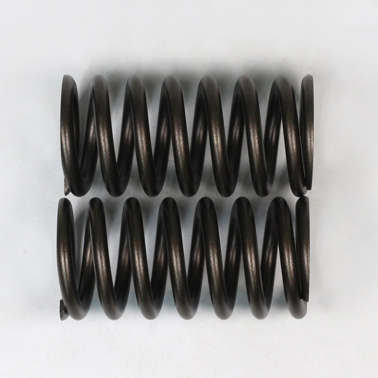 ISG Engine Valve Spring 3696142