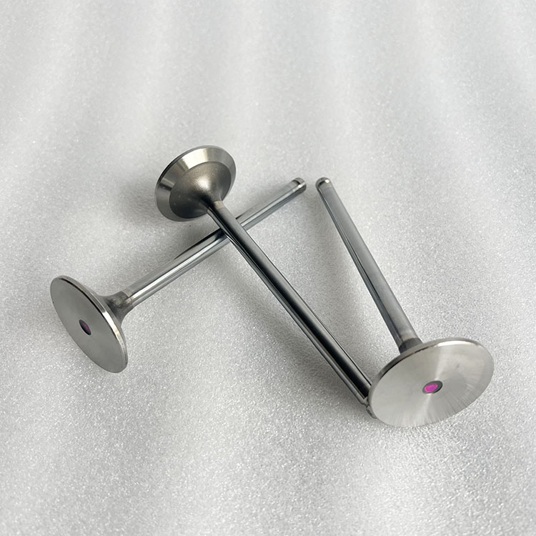 ISG Engine Exhaust Valve 5582315